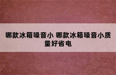 哪款冰箱噪音小 哪款冰箱噪音小质量好省电